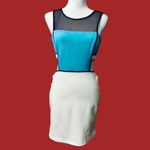 Bebe Color Block Cutout Mini Dress with Fishnet Top